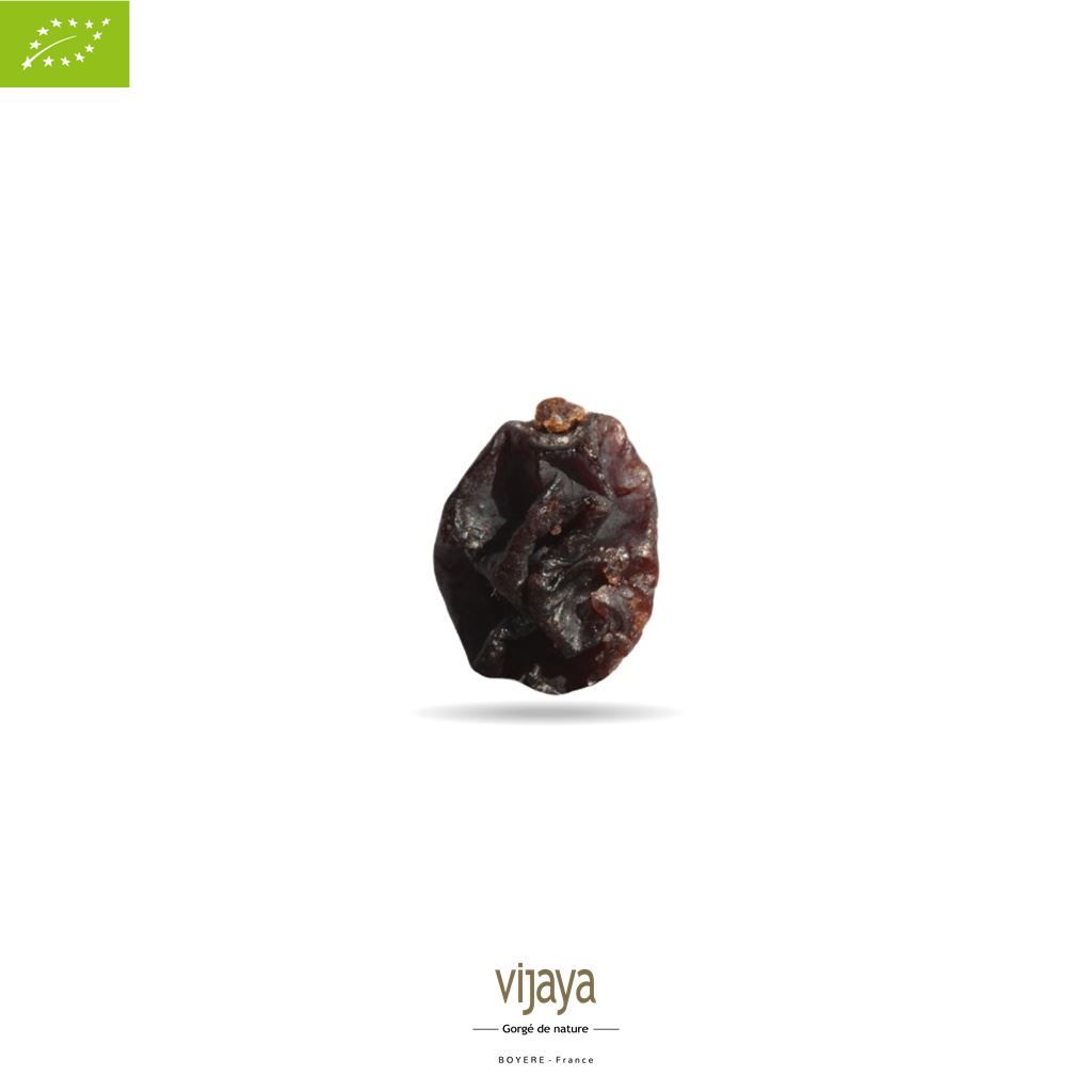 Vijaya